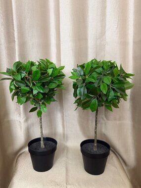 Artificial Fig Potted Plants